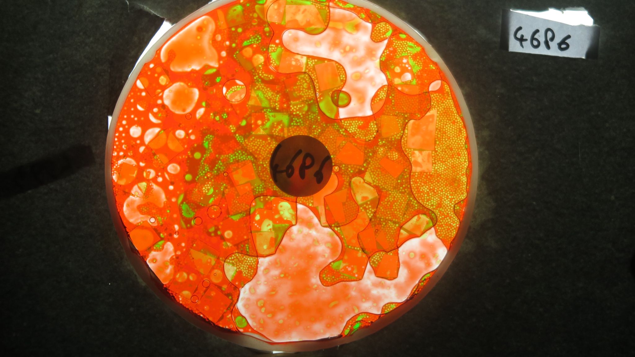 BV4686 bubble vision oil wheel